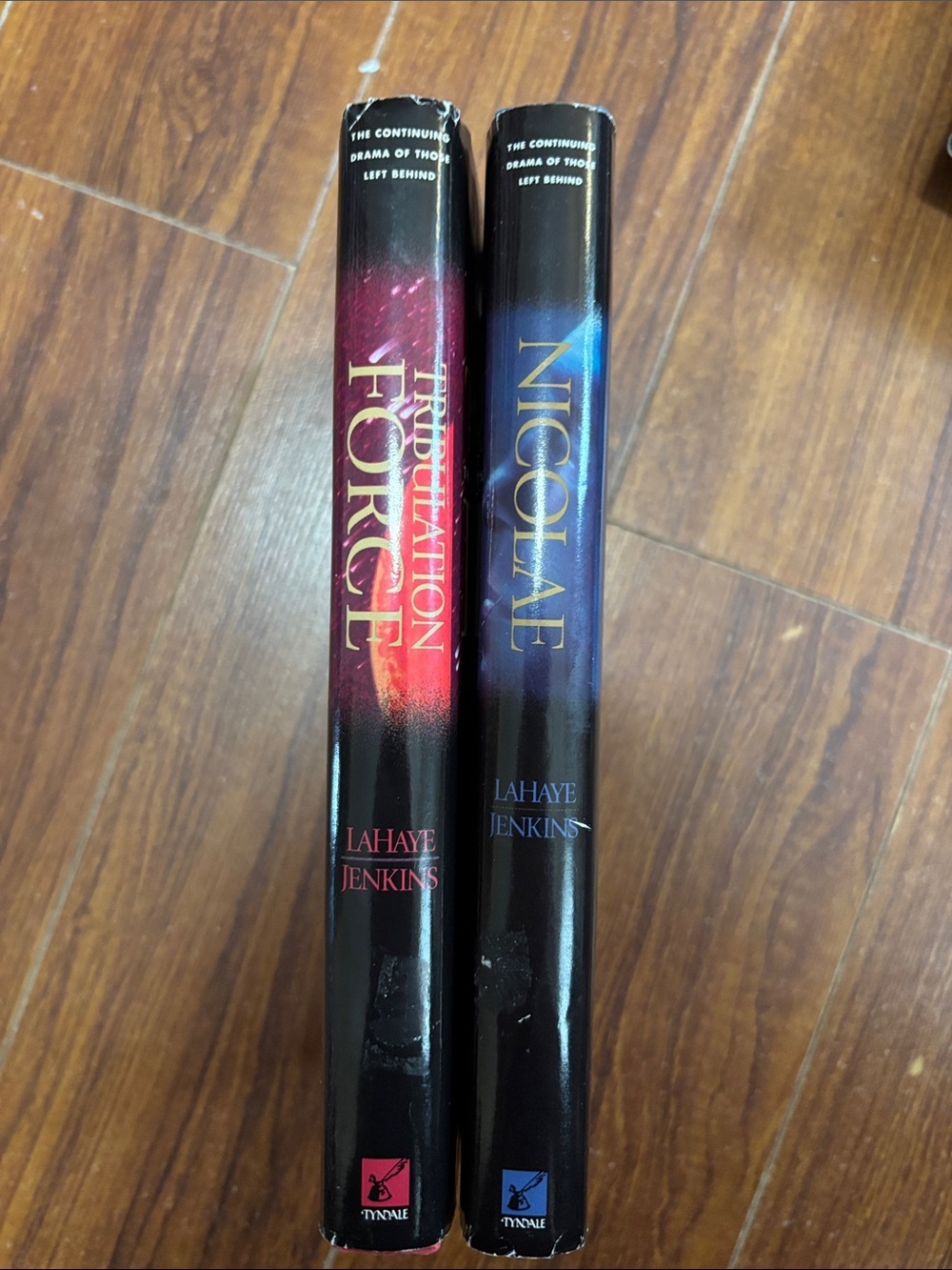 2Book Bundle by Tim LaHaye & Jerry B. Jenkins - Picture 9 of 10